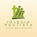 IBVJ Logo